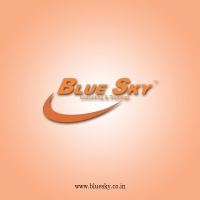 Blue Sky Consulting & Trainings
